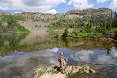 DSC08727.JPG DSC08727.JPG