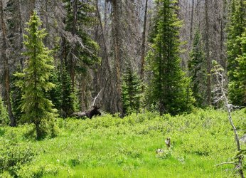 DSC08740 (2).JPG DSC08740 (2).JPG