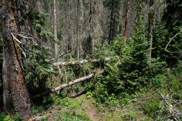 DSC08752.JPG DSC08752.JPG