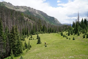 DSC08747.JPG DSC08747.JPG