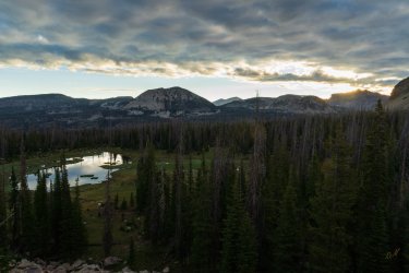 RCM08767-Notch Mountain 6-2021-210626-15.jpg