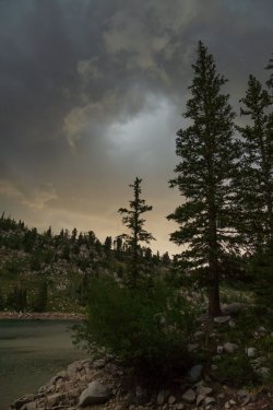 RCM09421-Twin 7-2021-210722-23.jpg