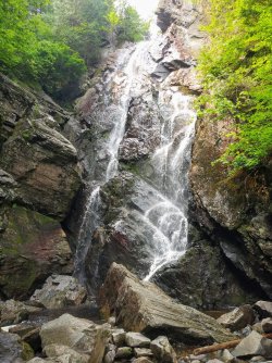 20D6E3FB-3B69-4178-88E0-EA98E9F4931A.jpeg 20D6E3FB-3B69-4178-88E0-EA98E9F4931A.jpeg