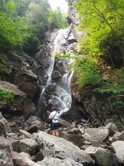 BBAD5046-DD9C-4826-A244-14F9AD2C4423.jpeg BBAD5046-DD9C-4826-A244-14F9AD2C4423.jpeg