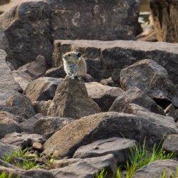 RCM09774-Cuberant Basin Uintas 7-2021-210730-85.jpg