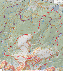 Screen Shot 2021-08-01 at 9.23.50 PM.png