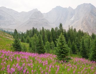 _1250692-copy-2.jpg _1250692-copy-2.jpg