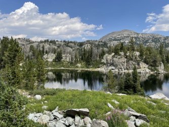 IMG_5530.jpg IMG_5530.jpg