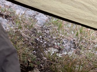 IMG_5640.jpg IMG_5640.jpg