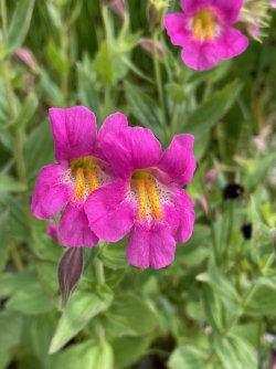 IMG_5887.jpg IMG_5887.jpg