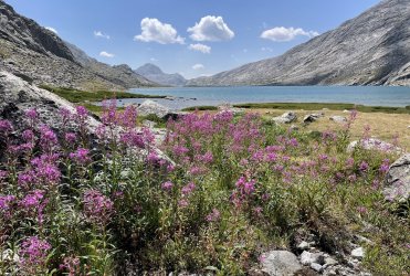 IMG_5874.jpg IMG_5874.jpg