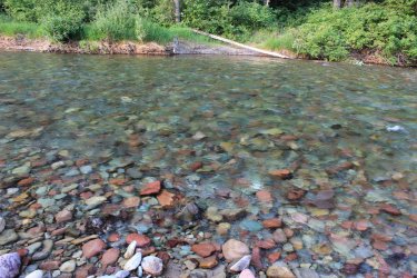 IMG_8581.jpg IMG_8581.jpg