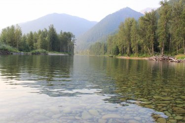 IMG_8585.jpg IMG_8585.jpg