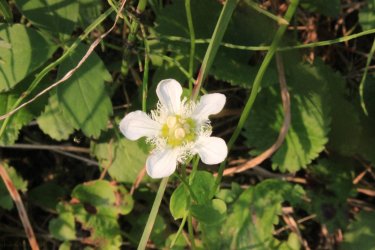 IMG_8608.jpg IMG_8608.jpg