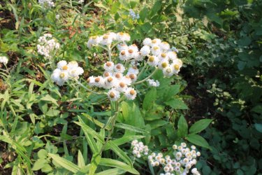 IMG_8617.jpg IMG_8617.jpg