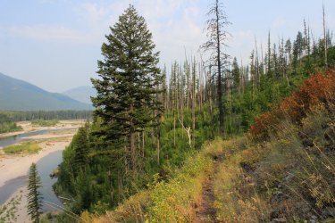 IMG_8638.jpg IMG_8638.jpg