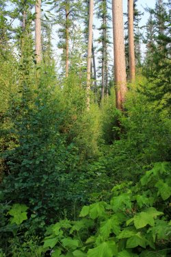 IMG_8644.jpg IMG_8644.jpg