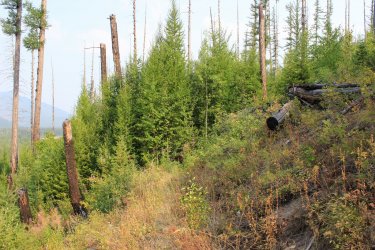 IMG_8649.jpg IMG_8649.jpg