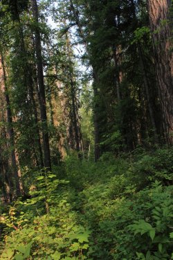 IMG_8661.jpg IMG_8661.jpg