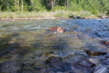 IMG_8683.jpg IMG_8683.jpg