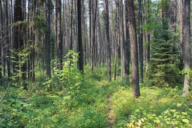 IMG_8685.jpg IMG_8685.jpg