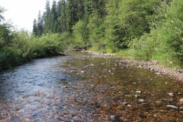 IMG_8701.jpg IMG_8701.jpg