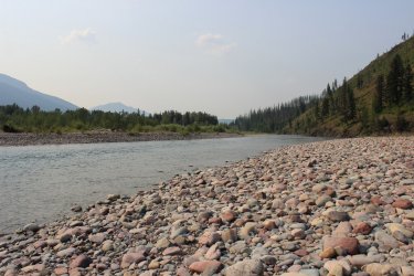 IMG_8705.jpg IMG_8705.jpg