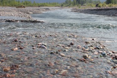 IMG_8708.jpg IMG_8708.jpg