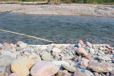 IMG_8709.jpg IMG_8709.jpg