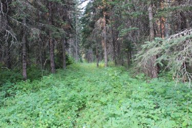 IMG_8716.jpg IMG_8716.jpg