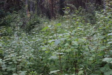 IMG_8719.jpg IMG_8719.jpg