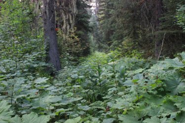 IMG_8721.jpg IMG_8721.jpg