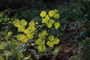 IMG_8732.jpg IMG_8732.jpg