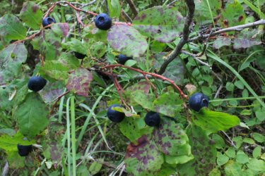 IMG_8734.jpg IMG_8734.jpg