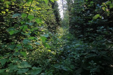 IMG_8740.jpg IMG_8740.jpg