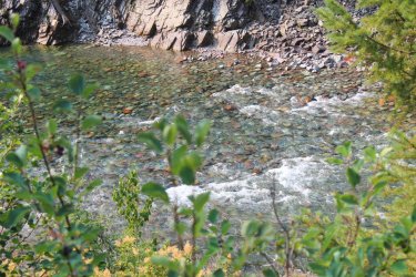 IMG_8751.jpg IMG_8751.jpg