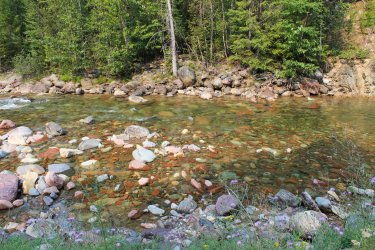 IMG_8763.jpg IMG_8763.jpg