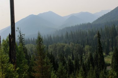 IMG_8776.jpg IMG_8776.jpg