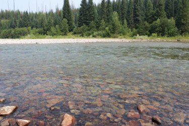 IMG_8783.jpg IMG_8783.jpg