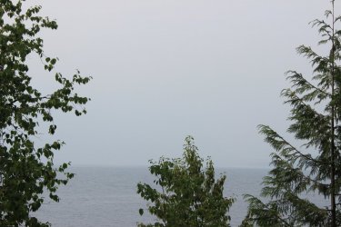 IMG_8836.jpg IMG_8836.jpg