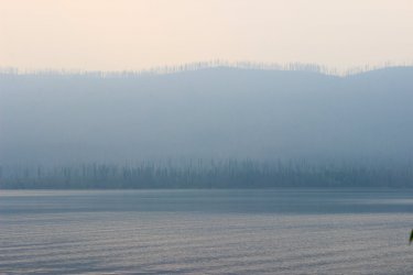 IMG_8838.jpg IMG_8838.jpg