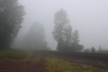 IMG_8869.jpg IMG_8869.jpg