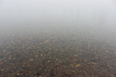 IMG_8871.jpg IMG_8871.jpg