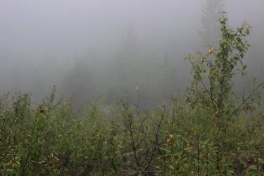 IMG_8874.jpg IMG_8874.jpg