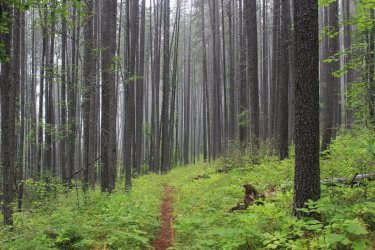 IMG_8879.jpg IMG_8879.jpg