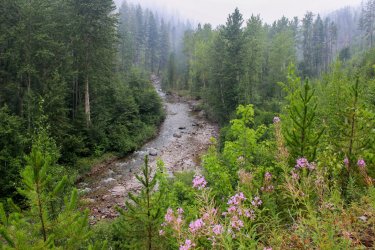 IMG_8891.jpg IMG_8891.jpg