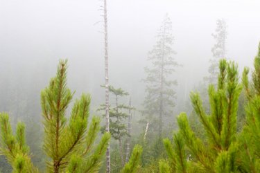 IMG_8897.jpg IMG_8897.jpg