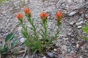 IMG_8908.jpg IMG_8908.jpg