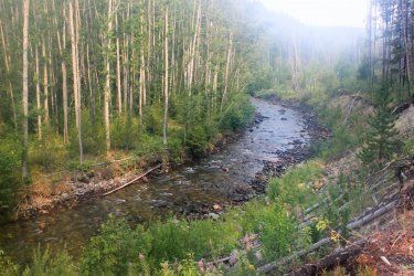 IMG_8919.jpg IMG_8919.jpg