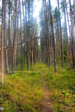 IMG_8922.jpg IMG_8922.jpg